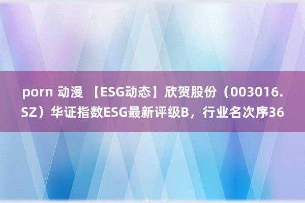 porn 动漫 【ESG动态】欣贺股份（003016.SZ）华证指数ESG最新评级B，行业名次序36