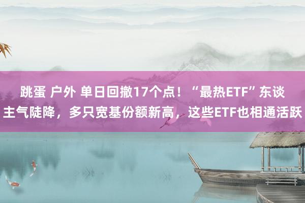 跳蛋 户外 单日回撤17个点！“最热ETF”东谈主气陡降，多只宽基份额新高，这些ETF也相通活跃