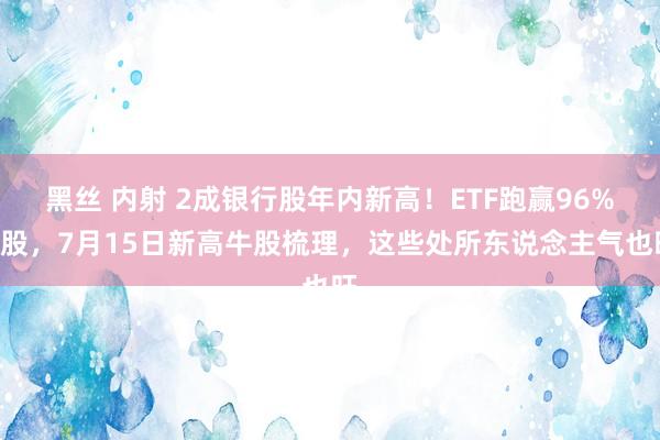 黑丝 内射 2成银行股年内新高！ETF跑赢96%A股，7月15日新高牛股梳理，这些处所东说念主气也旺