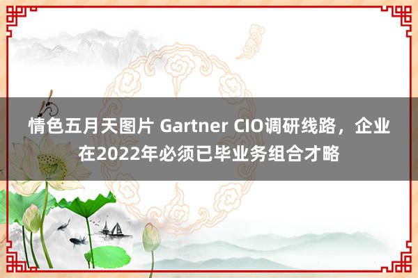 情色五月天图片 Gartner CIO调研线路，企业在2022年必须已毕业务组合才略