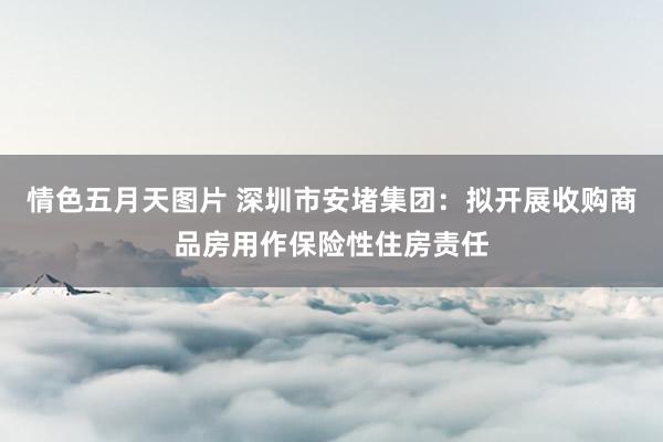 情色五月天图片 深圳市安堵集团：拟开展收购商品房用作保险性住房责任