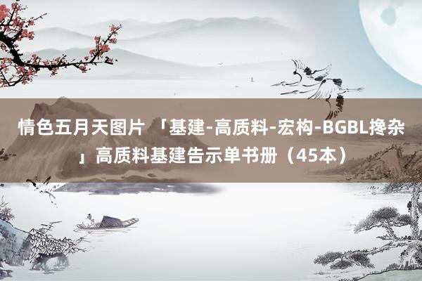 情色五月天图片 「基建-高质料-宏构-BGBL搀杂」高质料基建告示单书册（45本）