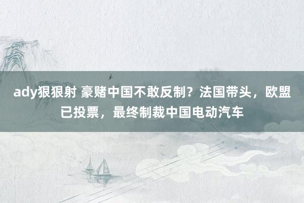 ady狠狠射 豪赌中国不敢反制？法国带头，欧盟已投票，最终制裁中国电动汽车