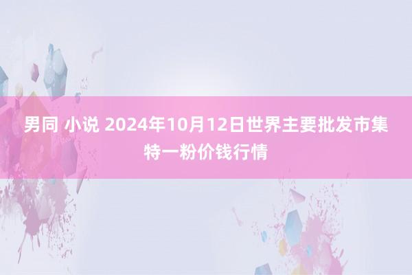 男同 小说 2024年10月12日世界主要批发市集特一粉价钱行情