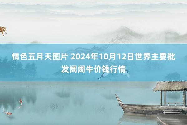 情色五月天图片 2024年10月12日世界主要批发阛阓牛价钱行情