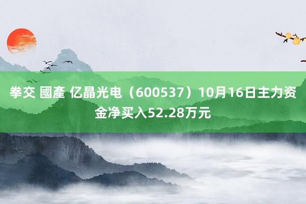 拳交 國產 亿晶光电（600537）10月16日主力资金净买入52.28万元