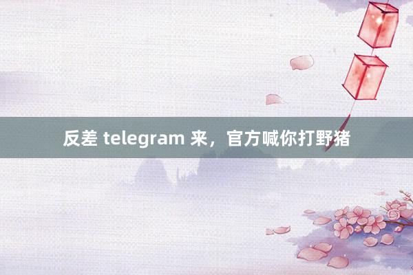 反差 telegram 来，官方喊你打野猪