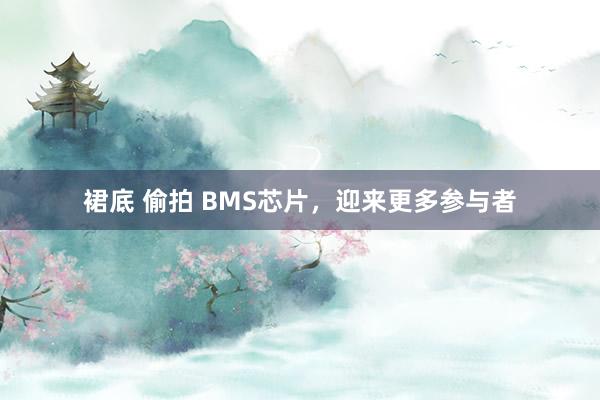 裙底 偷拍 BMS芯片，迎来更多参与者