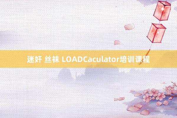 迷奸 丝袜 LOADCaculator培训课程