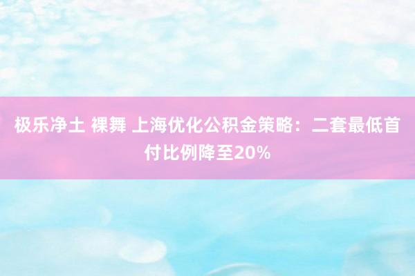 极乐净土 裸舞 上海优化公积金策略：二套最低首付比例降至20%