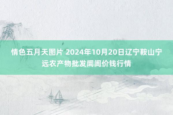 情色五月天图片 2024年10月20日辽宁鞍山宁远农产物批发阛阓价钱行情