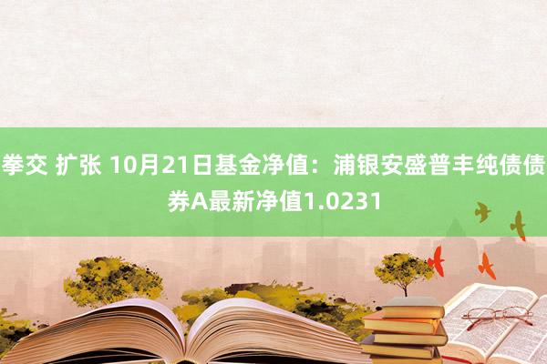 拳交 扩张 10月21日基金净值：浦银安盛普丰纯债债券A最新净值1.0231