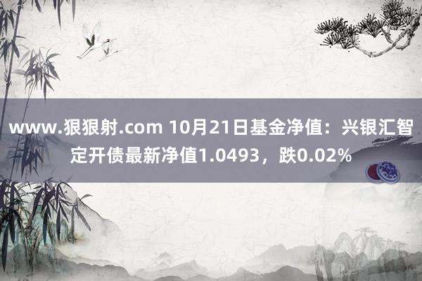 www.狠狠射.com 10月21日基金净值：兴银汇智定开债最新净值1.0493，跌0.02%