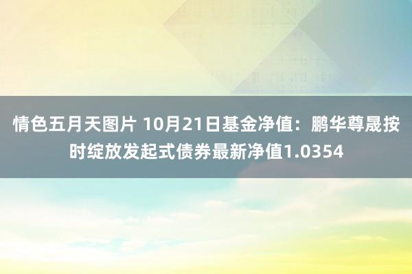 情色五月天图片 10月21日基金净值：鹏华尊晟按时绽放发起式债券最新净值1.0354