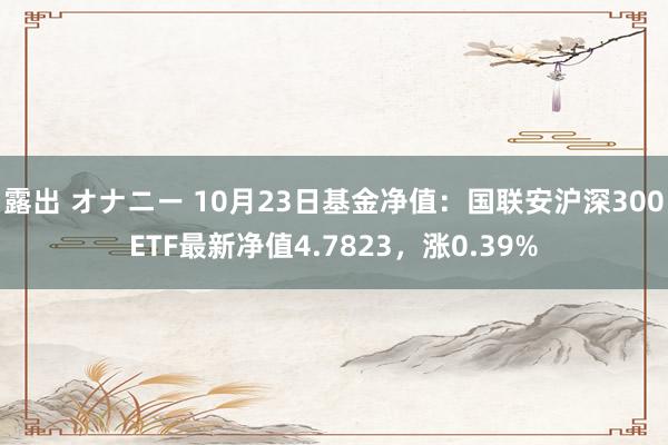 露出 オナニー 10月23日基金净值：国联安沪深300ETF最新净值4.7823，涨0.39%