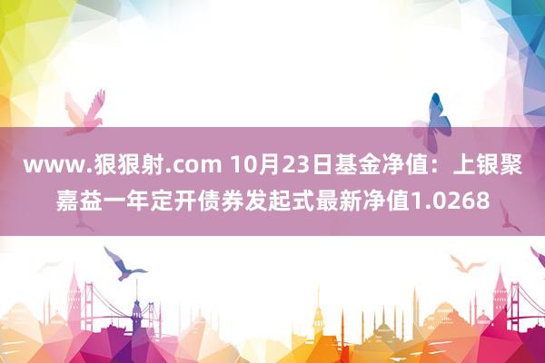 www.狠狠射.com 10月23日基金净值：上银聚嘉益一年定开债券发起式最新净值1.0268