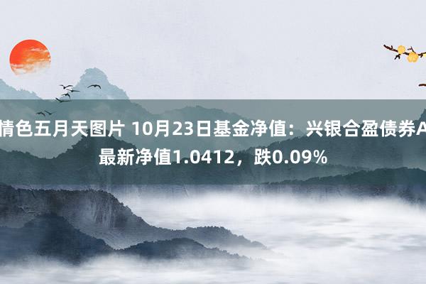 情色五月天图片 10月23日基金净值：兴银合盈债券A最新净值1.0412，跌0.09%