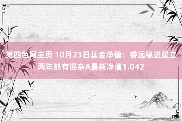 第四色网主页 10月23日基金净值：睿远稳进建立两年抓有混杂A最新净值1.042