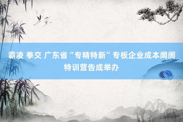 霸凌 拳交 广东省“专精特新”专板企业成本阛阓特训营告成举办