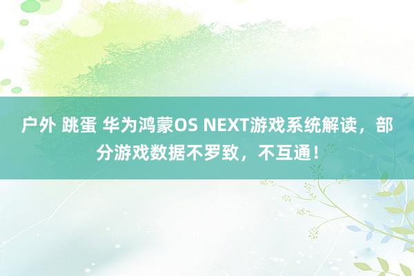 户外 跳蛋 华为鸿蒙OS NEXT游戏系统解读，部分游戏数据不罗致，不互通！