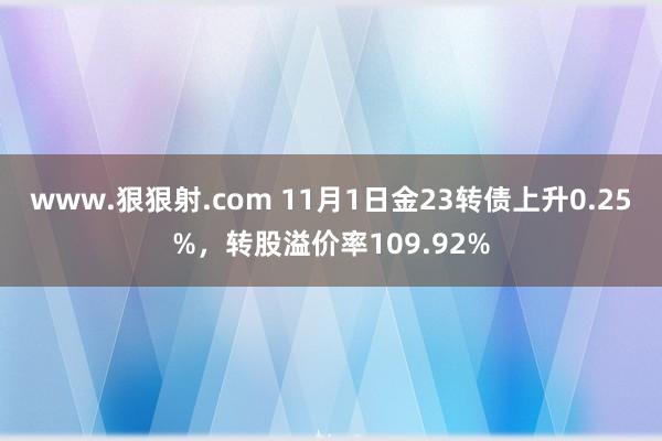 www.狠狠射.com 11月1日金23转债上升0.25%，转股溢价率109.92%