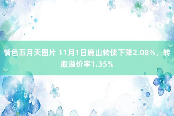 情色五月天图片 11月1日鹿山转债下降2.08%，转股溢价率1.35%