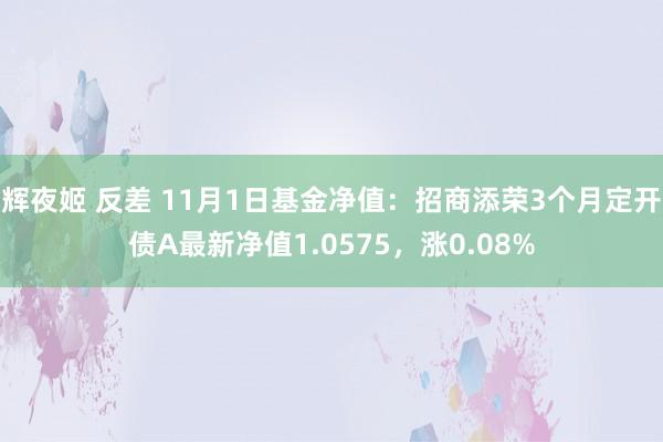 辉夜姬 反差 11月1日基金净值：招商添荣3个月定开债A最新净值1.0575，涨0.08%