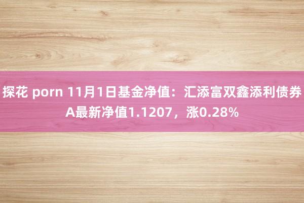 探花 porn 11月1日基金净值：汇添富双鑫添利债券A最新净值1.1207，涨0.28%