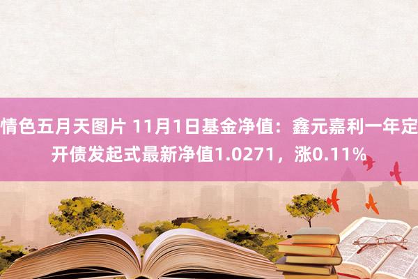 情色五月天图片 11月1日基金净值：鑫元嘉利一年定开债发起式最新净值1.0271，涨0.11%