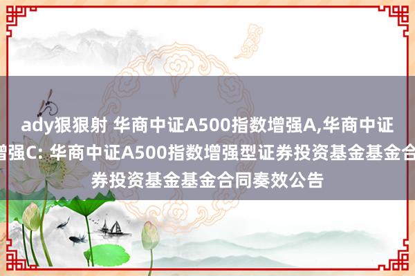 ady狠狠射 华商中证A500指数增强A，华商中证A500指数增强C: 华商中证A500指数增强型证券投资基金基金合同奏效公告