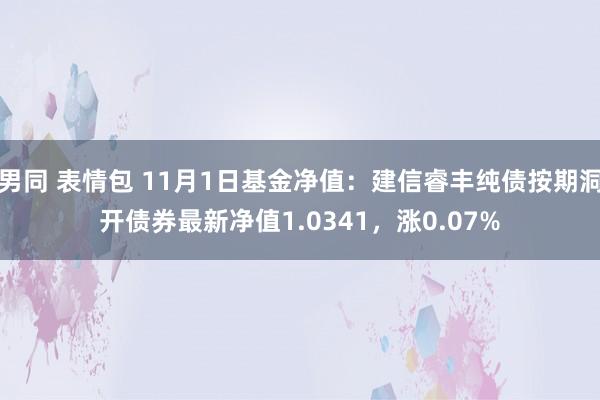 男同 表情包 11月1日基金净值：建信睿丰纯债按期洞开债券最新净值1.0341，涨0.07%