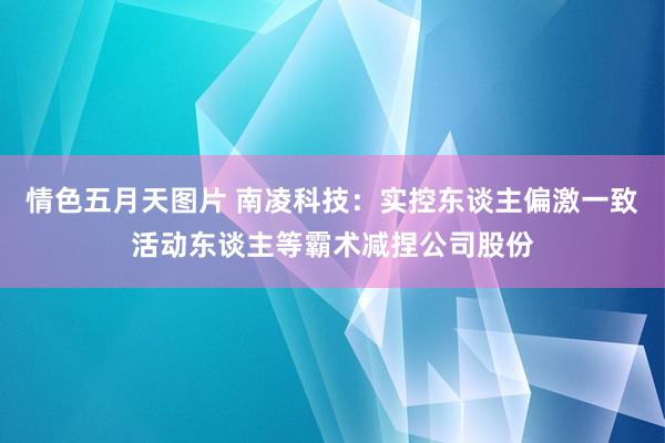 情色五月天图片 南凌科技：实控东谈主偏激一致活动东谈主等霸术减捏公司股份