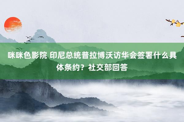 咪咪色影院 印尼总统普拉博沃访华会签署什么具体条约？社交部回答