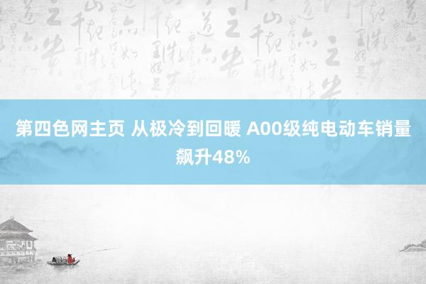 第四色网主页 从极冷到回暖 A00级纯电动车销量飙升48%