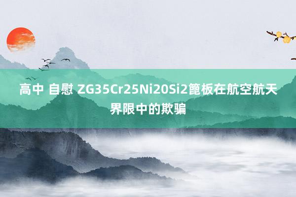 高中 自慰 ZG35Cr25Ni20Si2篦板在航空航天界限中的欺骗