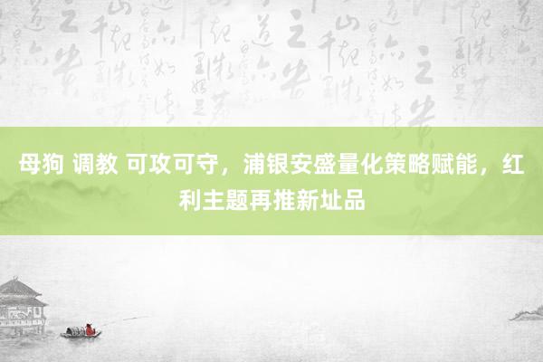 母狗 调教 可攻可守，浦银安盛量化策略赋能，红利主题再推新址品