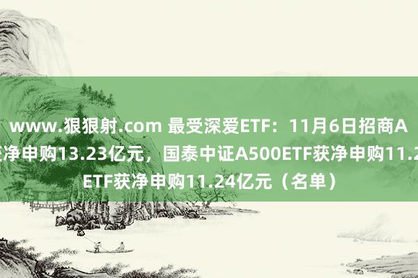 www.狠狠射.com 最受深爱ETF：11月6日招商A500指数ETF获净申购13.23亿元，国泰中证A500ETF获净申购11.24亿元（名单）