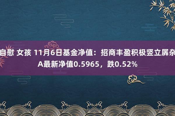 自慰 女孩 11月6日基金净值：招商丰盈积极竖立羼杂A最新净值0.5965，跌0.52%