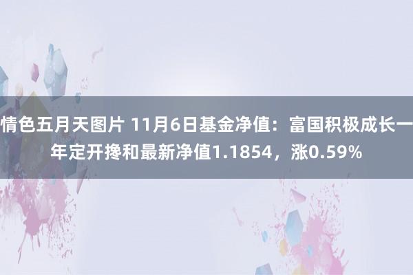 情色五月天图片 11月6日基金净值：富国积极成长一年定开搀和最新净值1.1854，涨0.59%