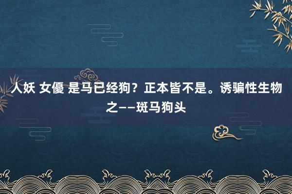 人妖 女優 是马已经狗？正本皆不是。诱骗性生物之——斑马狗头