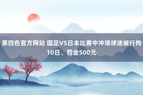 第四色官方网站 国足VS日本比赛中冲场球迷被行拘10日、罚金500元