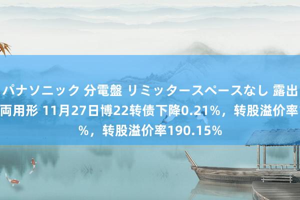 パナソニック 分電盤 リミッタースペースなし 露出・半埋込両用形 11月27日博22转债下降0.21%，转股溢价率190.15%