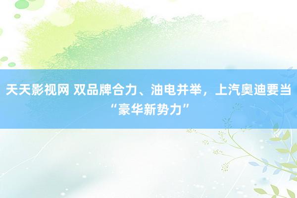 天天影视网 双品牌合力、油电并举，上汽奥迪要当“豪华新势力”