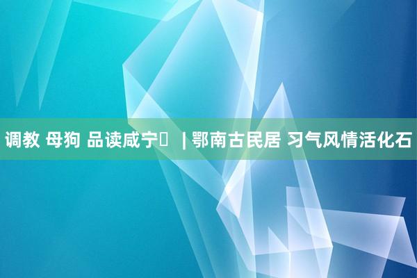 调教 母狗 品读咸宁⑮ | 鄂南古民居 习气风情活化石