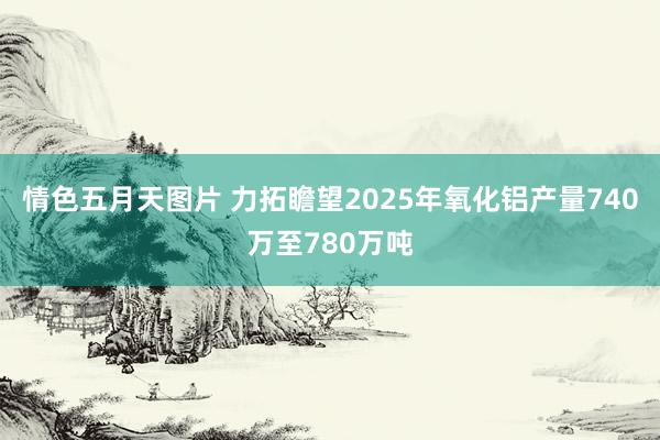 情色五月天图片 力拓瞻望2025年氧化铝产量740万至780万吨