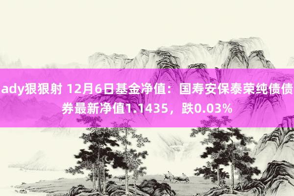 ady狠狠射 12月6日基金净值：国寿安保泰荣纯债债券最新净值1.1435，跌0.03%