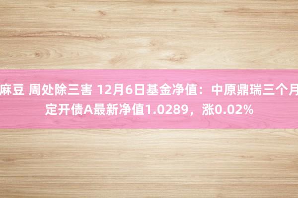 麻豆 周处除三害 12月6日基金净值：中原鼎瑞三个月定开债A最新净值1.0289，涨0.02%