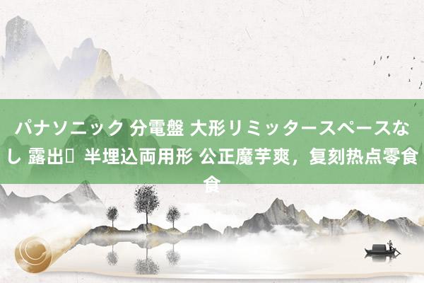 パナソニック 分電盤 大形リミッタースペースなし 露出・半埋込両用形 公正魔芋爽，复刻热点零食