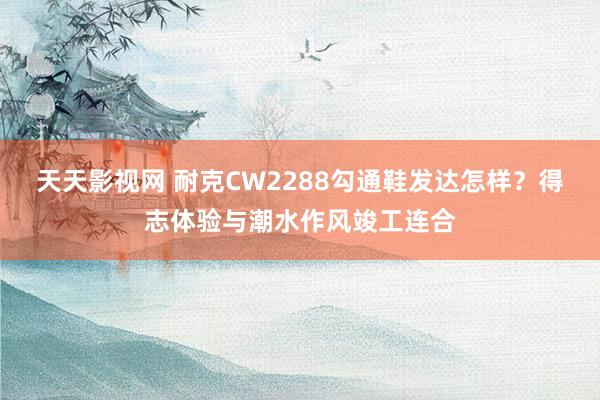 天天影视网 耐克CW2288勾通鞋发达怎样？得志体验与潮水作风竣工连合