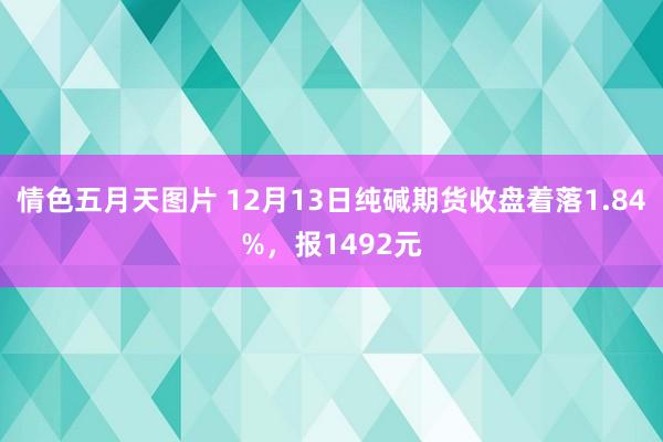 情色五月天图片 12月13日纯碱期货收盘着落1.84%，报1492元